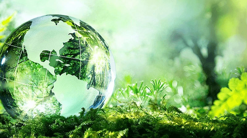 Hướng dẫn lập dàn ý tập làm văn bảo vệ môi trường. (Ảnh: Sưu tầm Internet)