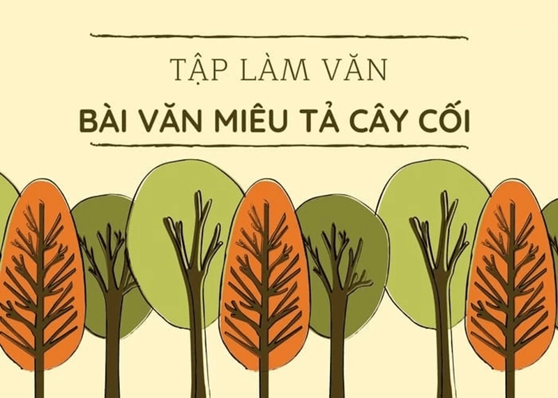 Dàn ý tập làm văn tả cây cối. (Ảnh: Sưu tầm Internet)