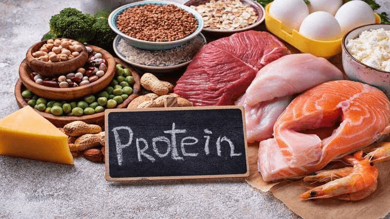 Protein (Chất đạm). (Ảnh: Sưu tầm Internet)