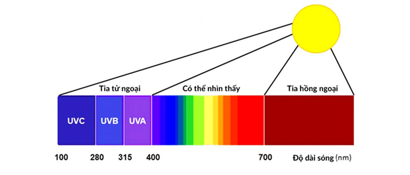 Tia UV. (Ảnh: Sưu tầm Internet)