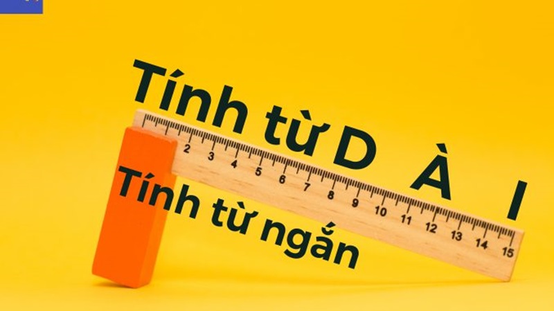Tính từ dài và tính từ ngắn trong tiếng Anh. (Ảnh: Sưu tầm Internet)