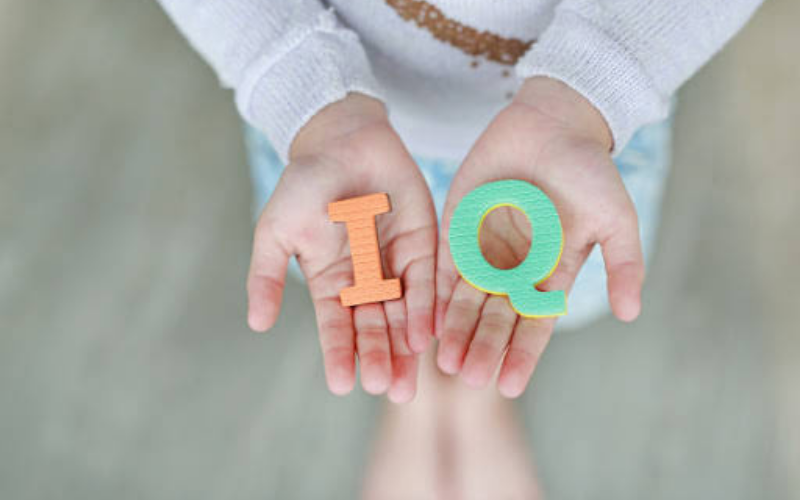 Trò chơi trí tuệ Nhật Bản sẽ giúp trẻ phát triển về IQ lẫn EQ. (Ảnh: Sưu tầm Internet)