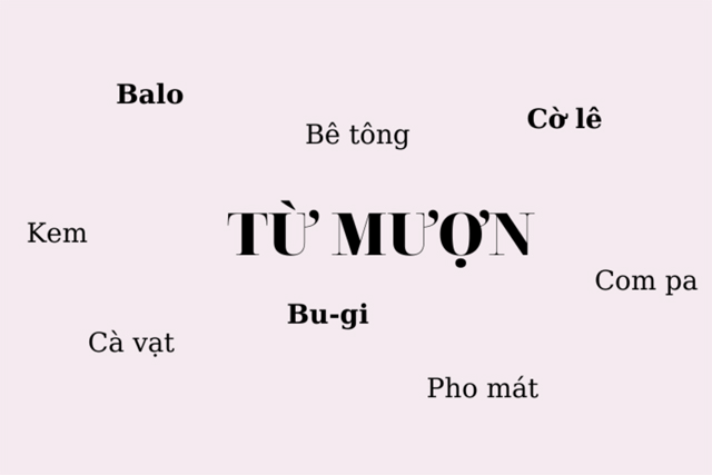 Thực Hành Tiếng Việt: Từ Mượn