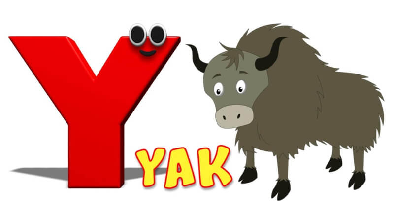 Chia từ theo số lượng chữ sẽ giúp bạn dễ dàng nhớ từ vựng. (Ảnh: Sưu tầm Internet)