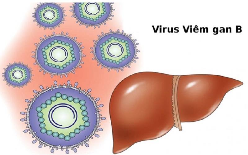 Viêm gan B gây ra do virus HBV. (Ảnh: Sưu tầm Internet)