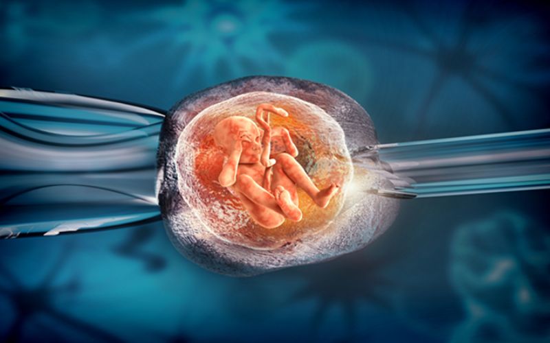 Quá trình chuyển phôi đông lạnh. (Ảnh: Sưu tầm Internet)