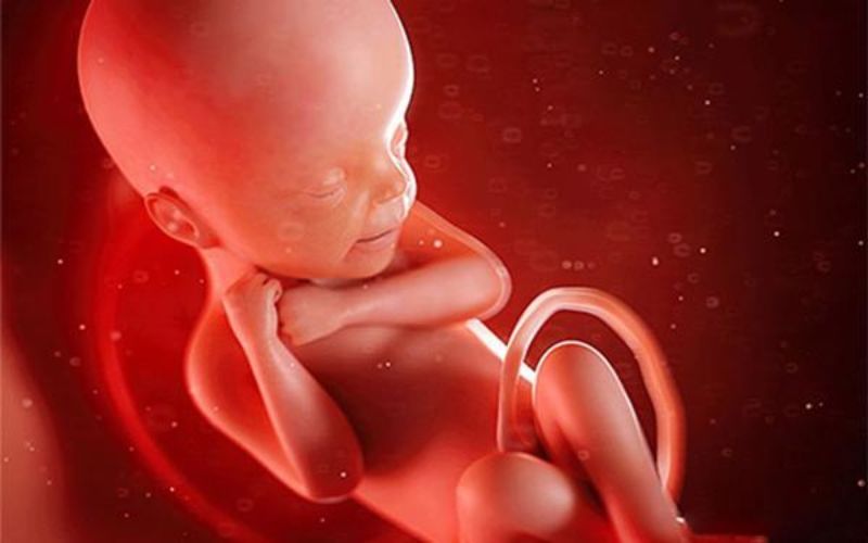 Thai nhi tuần thứ 12 hai mắt di chuyển gần sát nhau hơn. (Ảnh: Sưu tầm Internet)