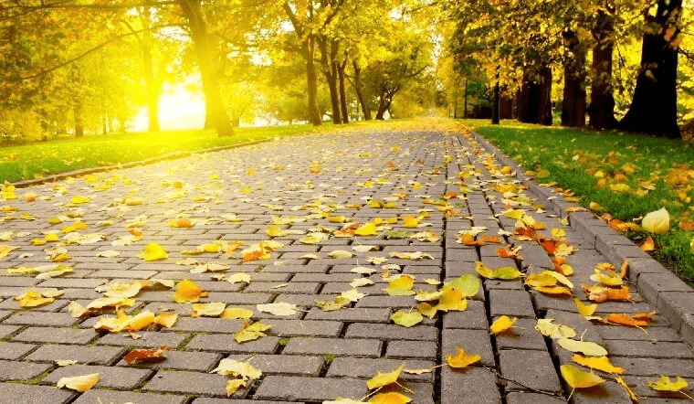 Mẫu bài giới thiệu mùa thu. (Ảnh: Sưu tầm Internet)