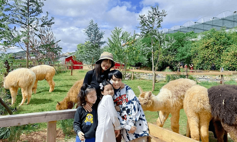 Địa điểm vui chơi thích hợp cho trẻ nhỏ. (Ảnh: Sưu tầm Internet)