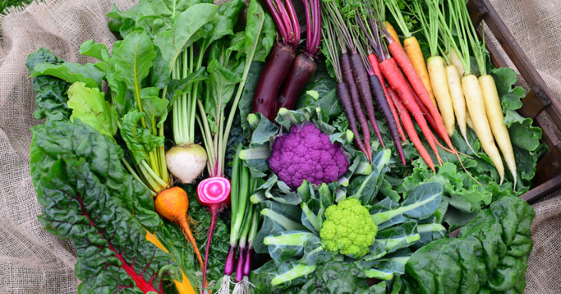 Rau xanh chứa nhiều dưỡng chất tốt cho da của các mẹ bỉm (Ảnh sưu tầm Internet)