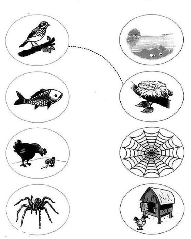 Dạng bài nối đồ vật của toán tư duy 3-4 tuổi. (Ảnh: Toploigiai.vn)