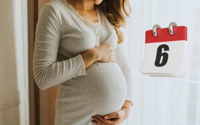 Dấu hiệu có thai ở tuần thứ 6 thai kỳ mẹ bầu thường gặp. (Ảnh: Sưu tầm Internet)