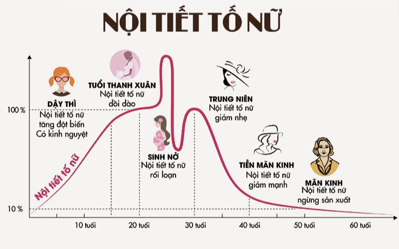 Dịch âm đạo tiết nhiều do nội tiết tố nữ. (Ảnh: Sưu tầm Internet)
