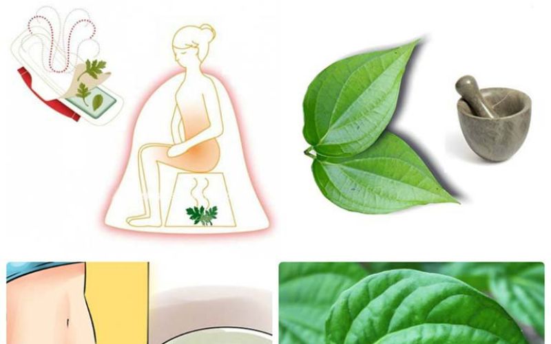 Trị ngứa vùng kín bằng lá trầu không. (Ảnh: Sưu tầm internet)
