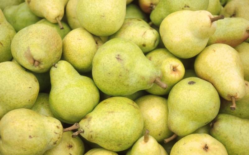 Người mắc hội chứng ruột kích thích nên hạn chế ăn lê. (Ảnh: Sưu tầm Internet)