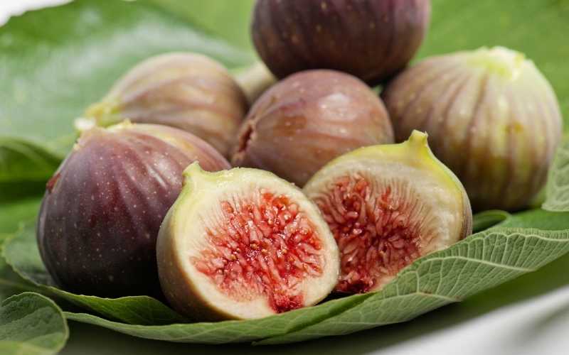 Quả vả có tác dụng phòng ngừa tim mạch, ung thư. (Ảnh: Sưu tầm Internet)