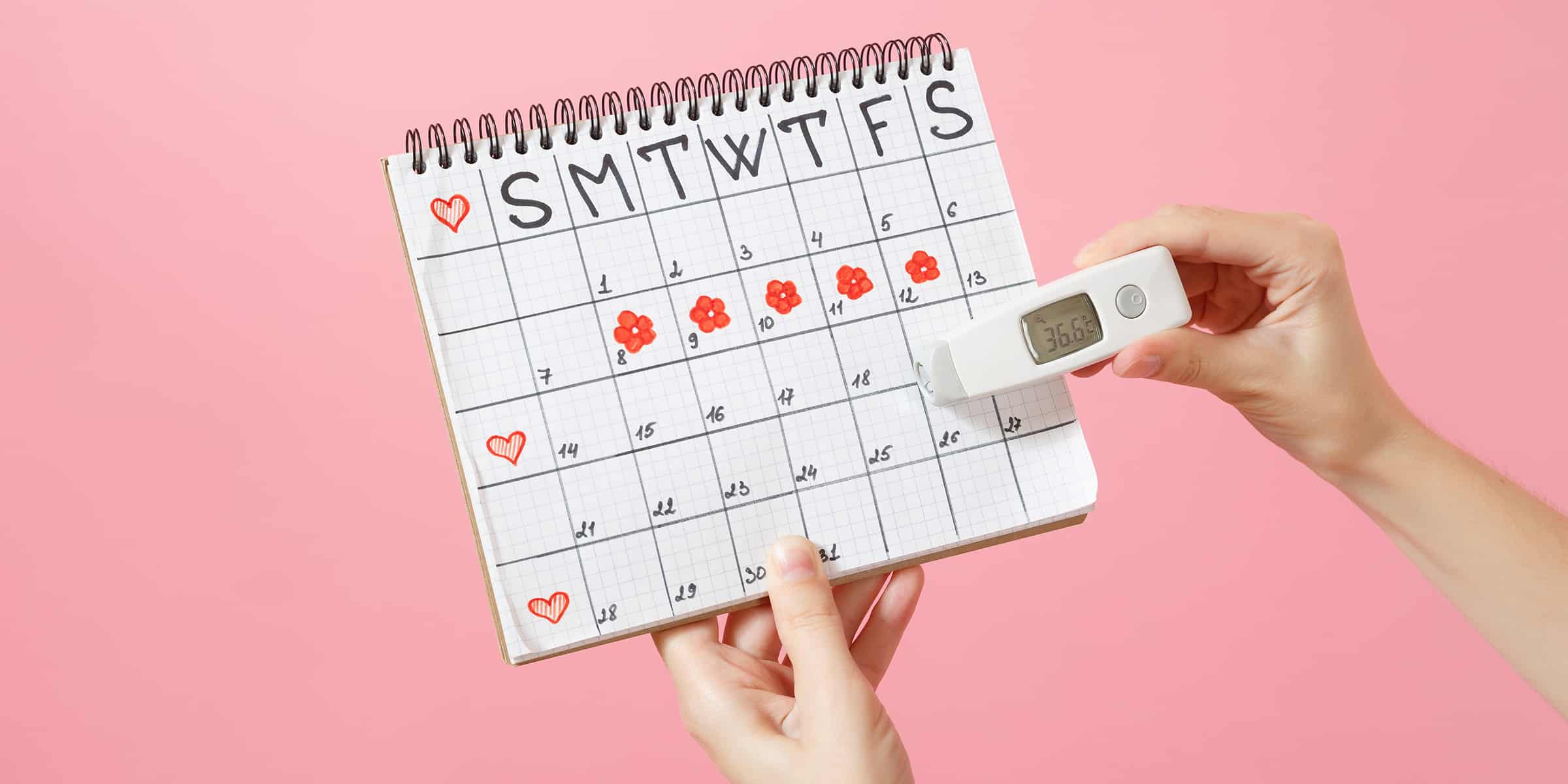 Rụng trứng là gì? (Ảnh: Sưu tầm Internet)