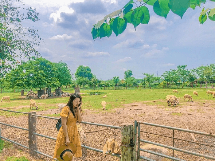 Nông Trang Xanh: Địa điểm vui chơi Sài Gòn. (Ảnh: Sưu tầm Internet)