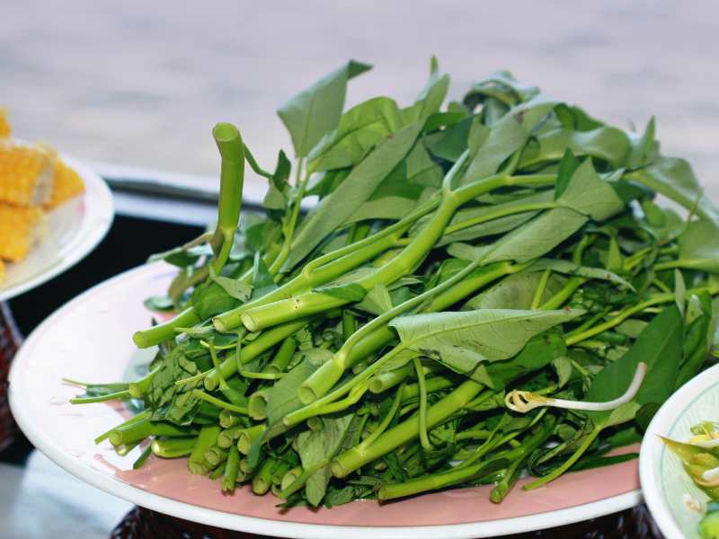 Kiêng ăn rau muống để vết thương không bị lồi mất thẩm mỹ (Ảnh: Sưu tầm internet)