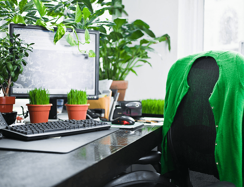 Tạo thêm không gian có cây xanh. (Ảnh: Sưu tầm Internet)