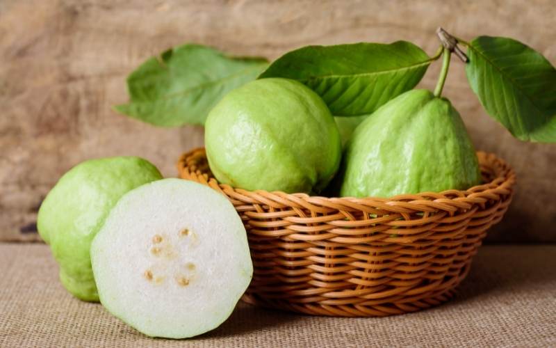 Ổi là loại trái cây vừa rẻ vừa giàu dinh dưỡng. (Ảnh: Sưu tầm Internet)