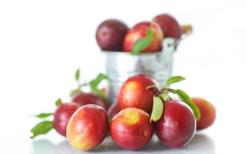 Mận nhiều chất xơ, không có chất béo và cholesterol xấu. (Ảnh: Sưu tầm Internet)