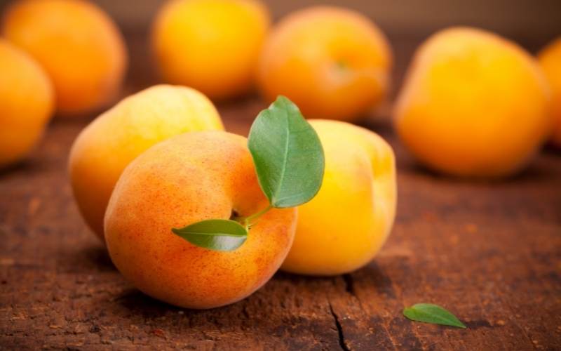 Quả mơ nhỏ nhưng chứa nhiều thành phần dinh dưỡng. (Ảnh: Sưu tầm Internet)