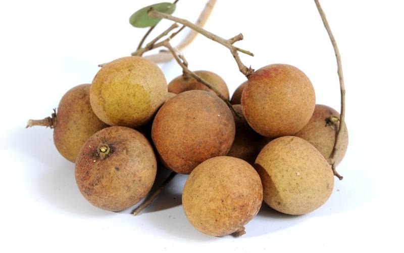 Nhãn có ảnh hưởng không tốt đến sức khỏe sinh sản. (Ảnh: Sưu tầm Internet)