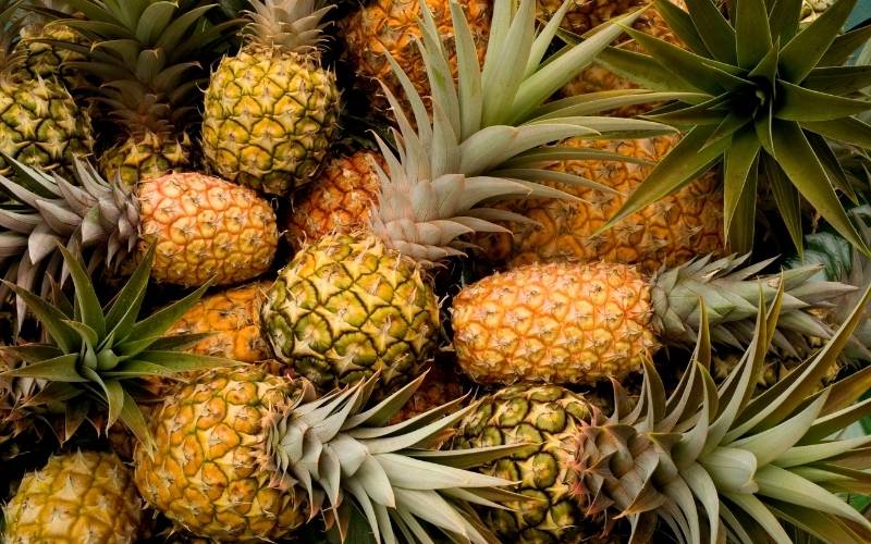 Mẹ bầu chỉ nên ăn dứa ở giai đoạn tam cá nguyệt thứ 2 trở đi. (Ảnh: Sưu tầm Internet)