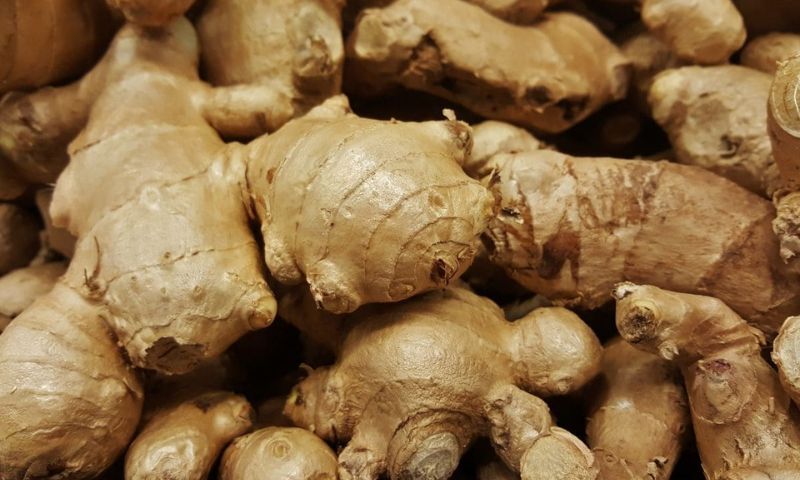 Gừng mang lại tác dụng giảm cân rất tốt. (Nguồn: Internet)