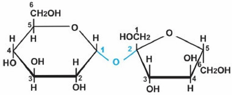 Cấu Tạo Rượu Etylic: Tìm Hiểu Chi Tiết và Ứng Dụng Thực Tiễn