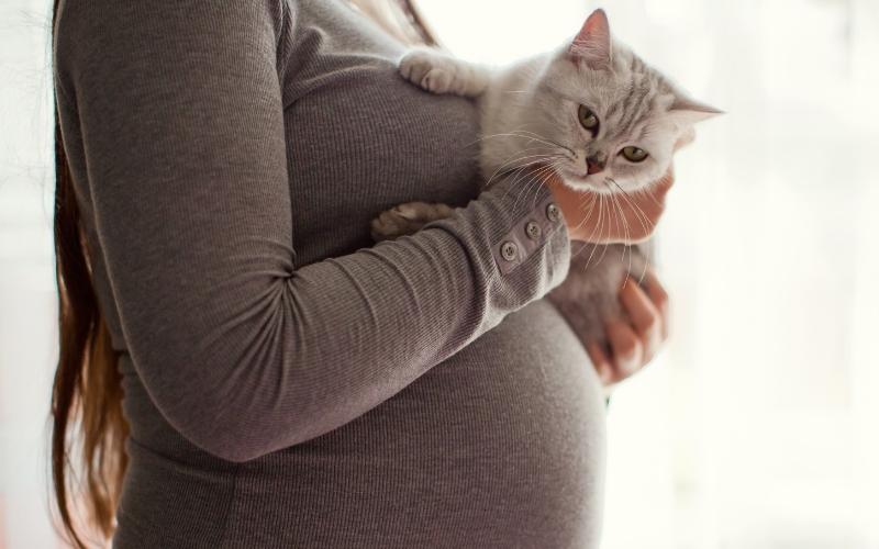 Vi khuẩn ở động vật có thể gây hại cho thai nhi. (Ảnh: Sưu tầm Internet)