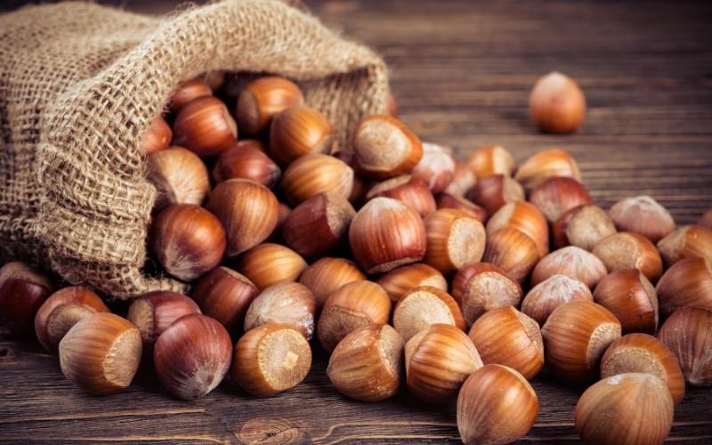 Hạt phỉ có tác dụng điều hòa cholesterol trong máu. (Ảnh: Sưu tầm Internet)