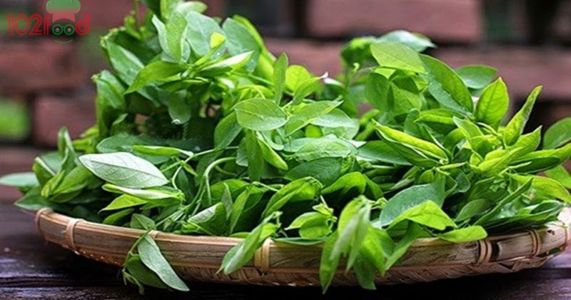 Uống rau ngót xay giúp các mẹ nhanh hết sản dịch (Ảnh sưu tầm Internet)