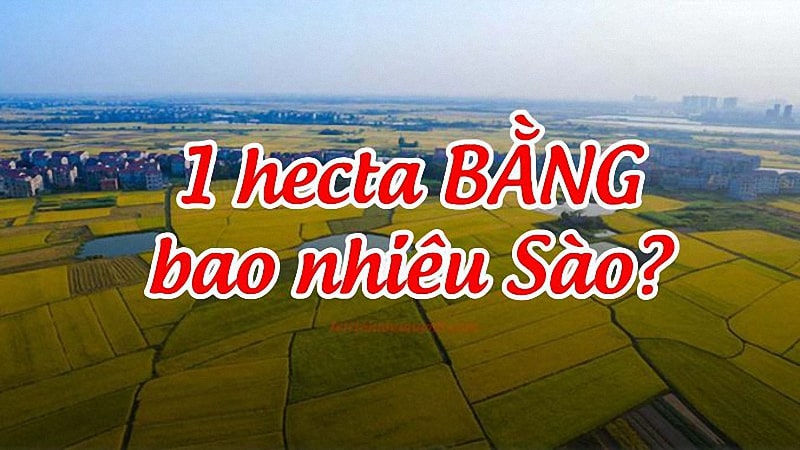 1ha Mấy Sào? Tìm Hiểu Chi Tiết và Cách Quy Đổi Chính Xác