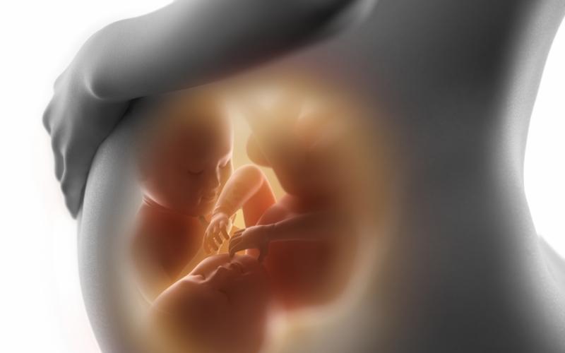 Bà bầu mang thai đôi không nên tập thể dục. (Ảnh: Sưu tầm Internet)