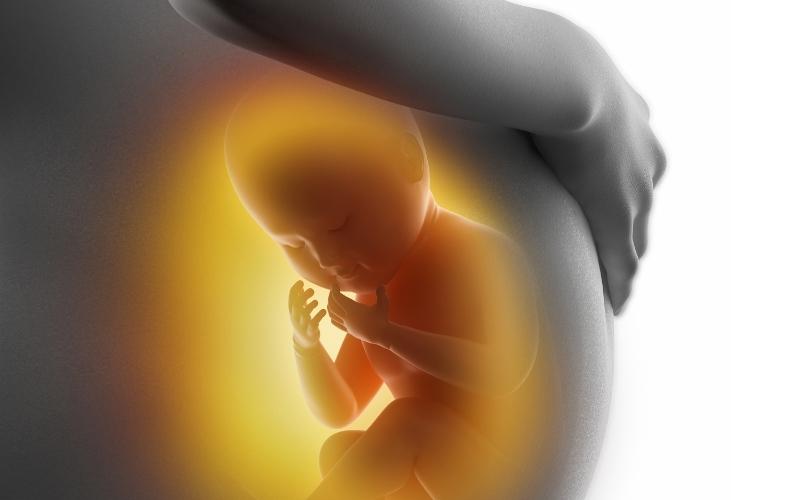 Nằm nghiêng bên trái giúp bé hấp thụ dưỡng chất tốt. (Ảnh: Sưu tầm Internet)