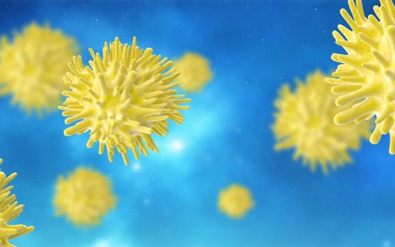 Những nguyên nhân chính gây bệnh viêm gan c. (Ảnh: Sưu tầm Internet)