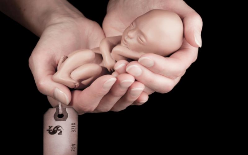 Thai nhi tuần thứ 36 có trọng lượng trung bình là 2,6 gram. (Ảnh: Sưu tầm Internet)