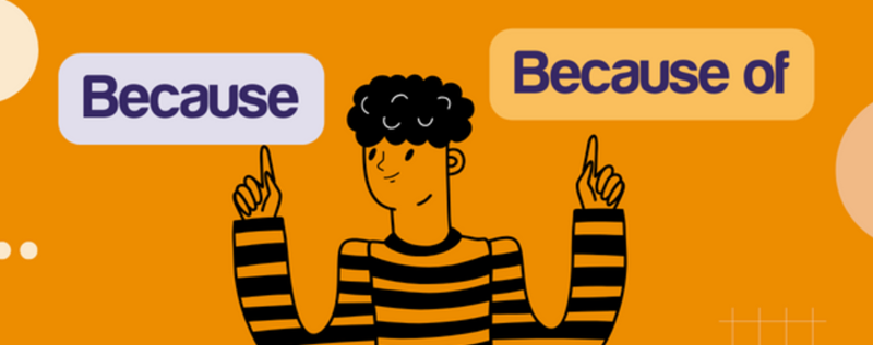 Sentence structures with Because. (Image: Internet)
