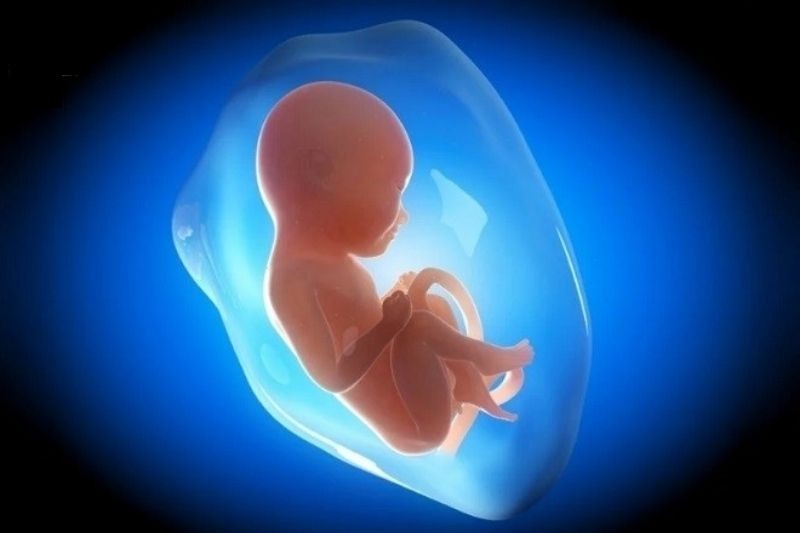 Bệnh lậu có thể lây truyền sang thai nhi khi sinh qua đường âm đạo. (Ảnh: Sưu tầm Internet)