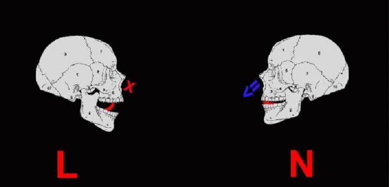Cơ chế phát âm của l và n. (Nguồn ảnh: Sưu tầm internet)