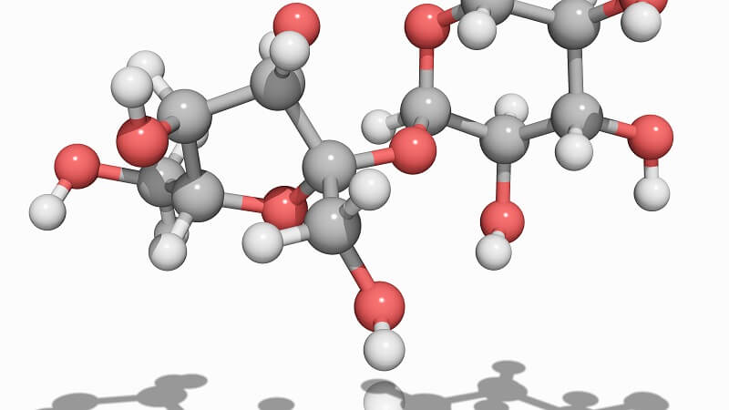 Chuỗi phân tử của hoạt chất disaccharides. (Ảnh: Sưu tầm Internet)