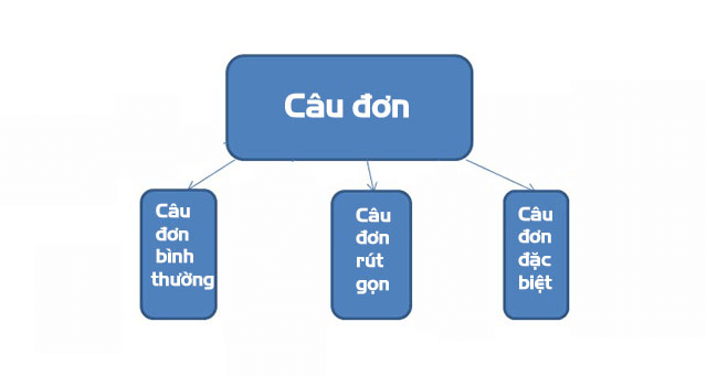 Cách sử dụng câu đơn đúng trong tiếng Việt. (Ảnh: Sưu tầm Internet)