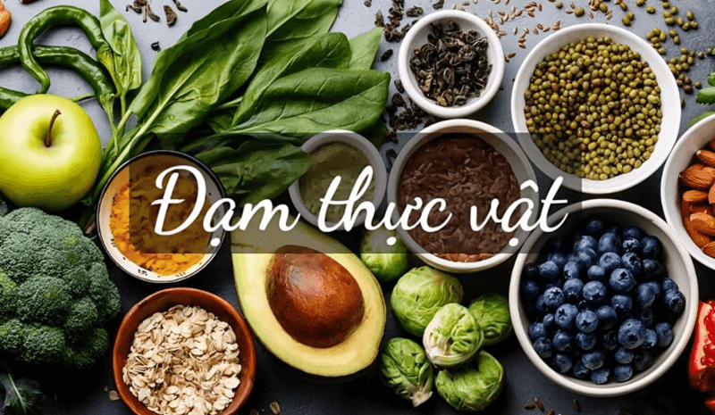 Chất đạm (Protein). (Ảnh: Sưu tầm Internet)