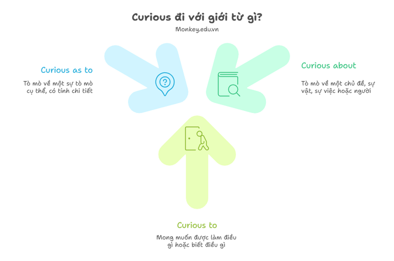 Curious đi với các giới từ about, to, as to. (Ảnh: Sưu tầm Internet)