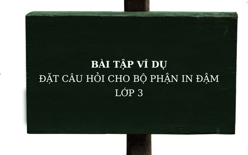 Ví dụ bài tập đặt câu hỏi cho bộ phận phận in đậm lớp 3. (Ảnh: Monkey)