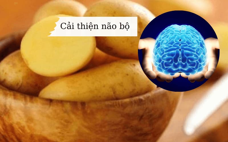 Khoai tây giúp cải thiện não bộ. (Ảnh: Sưu tầm Internet)