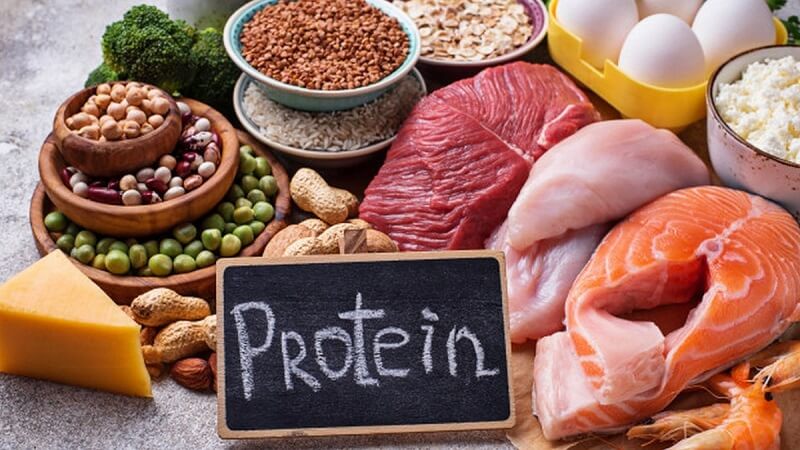Nạp khẩu phần protein theo chế độ tăng tăng dần. (Ảnh: Sưu tầm Internet)