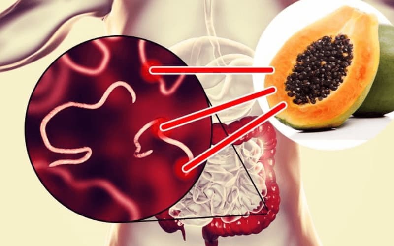 Ăn đu đủ giúp hỗ trợ tiêu hóa. (Ảnh: Sưu tầm Internet)